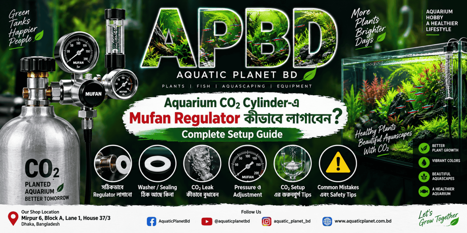 Mufan CO₂ Regulator কীভাবে Aquarium CO₂ Cylinder-এ লাগাবেন? | Complete CO₂ Setup Guide Bangladesh
