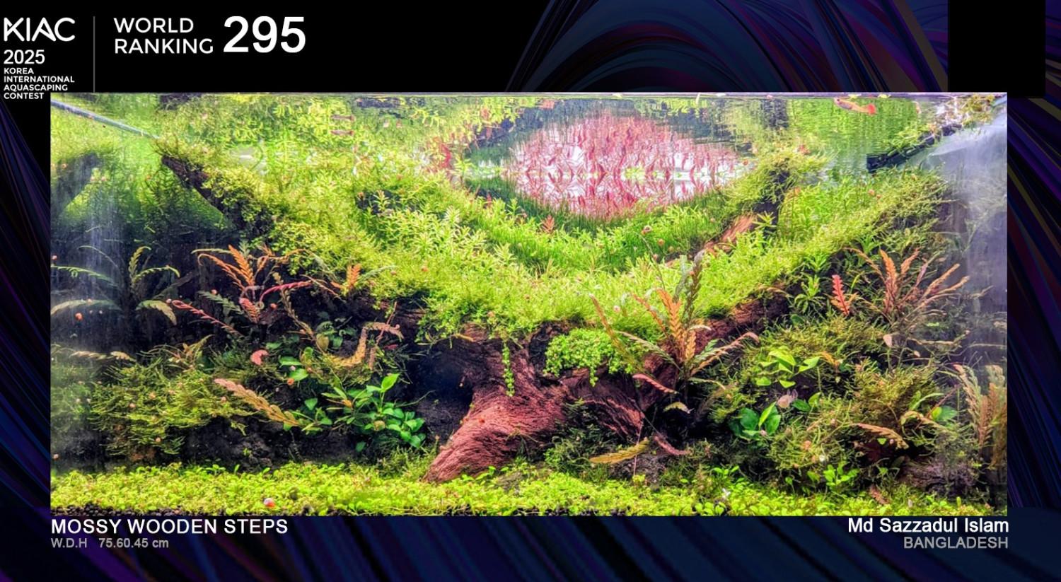Picture of High-Tech Planted Aquarium Guide